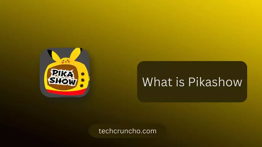 WHAT IS PIKASHOW?